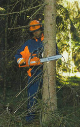 спиливание деревьев киев 233 03 70