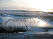 Газ-танк (эластичный резервуар) 