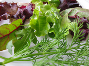 Линии производства салатов, салатные линии, салатовых смесей, из зелен