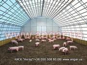 Предлагаем ангары для АПК любой формы 
