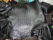 Продажа кожи рептилий и экзотических животных