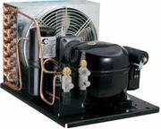 компрессора «Danfoss», «l'unite hermetique»