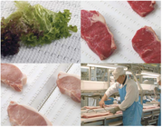 Модульные ленты серии uni Single Link MPB с шагом 25.4мм