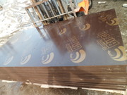 Продам фанеру опалубочную Comby birch.