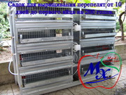 Садок для выращивания ремонтных перепелов