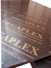  Ламинированная фанера