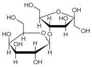 Пребиотик лактулоза,  олигофруктоза,  инулин