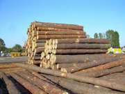 Продам пиломатериалы кругляк,  вагонка,  блок-хаус,  брус,  доска обрезная