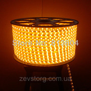 Светодиодная лента ULS-5050-60LED/m