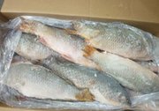 Продадим рыбу. Опт,  мелкий опт.