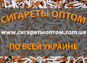 Оптовая поставка пищевого сегмента