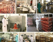 Оборудование для производства колбас и копченостей