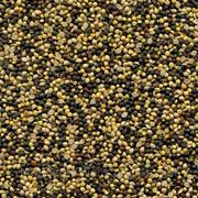 отходы после очистки рапса