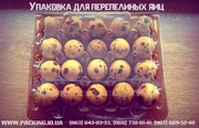 Продажа упаковки купить упаковку под перепелиные яйца