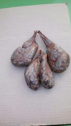 Продам Боброву струю  залози і готовий бальзам