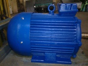 Электродвигатель 4АМ-200-М4. 37 кВт. 1500 об.м.