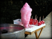 Аппарат для сладкой ваты УСВ-4