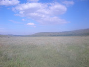 Приглашаем компаньонов,  инвесторов для совместного развития бизнеса.