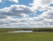 Для совместного развития фермерского хозяйства. 