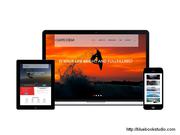 Создание веб-сайтов и дизайн печатной продукции.