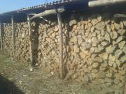 Продам дрова (микс), г. Днепр.