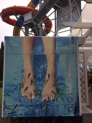 Doctor Fish Готовый бизнес 