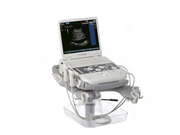 СРОЧНО! УЗИ Аппарат – SIEMENS P300