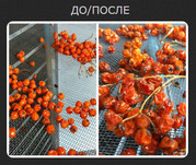 Сушильное промышленное оборудование