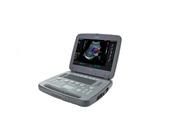 Сканер УЗИ  Siemens P500