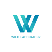 Создание и оптимизация сайтов