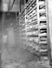 Камера заморозки рыбы 