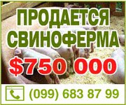 Продам действующий свинокомплекс 2700 кв.м. с. Покровское.