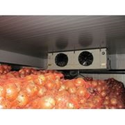 Камера хранения  лука