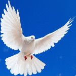 Разработка сайтов,  веб разработка,  программирование,   дизайн,  вёрстка