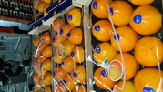 Предлагаем оптовые поставки хурмы(персимон) из Испании