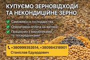 Постійна закупівля зерновідходів та некондиції