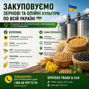 Закуповуємо с.г продукцію. База,  некондиція
