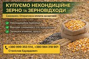 Купуємо некондицію та зерновідходи на постійній основі.